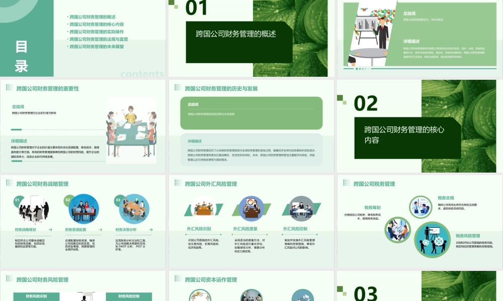 跨国公司财务管理培训课程96页课件