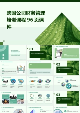 跨国公司财务管理培训课程96页课件