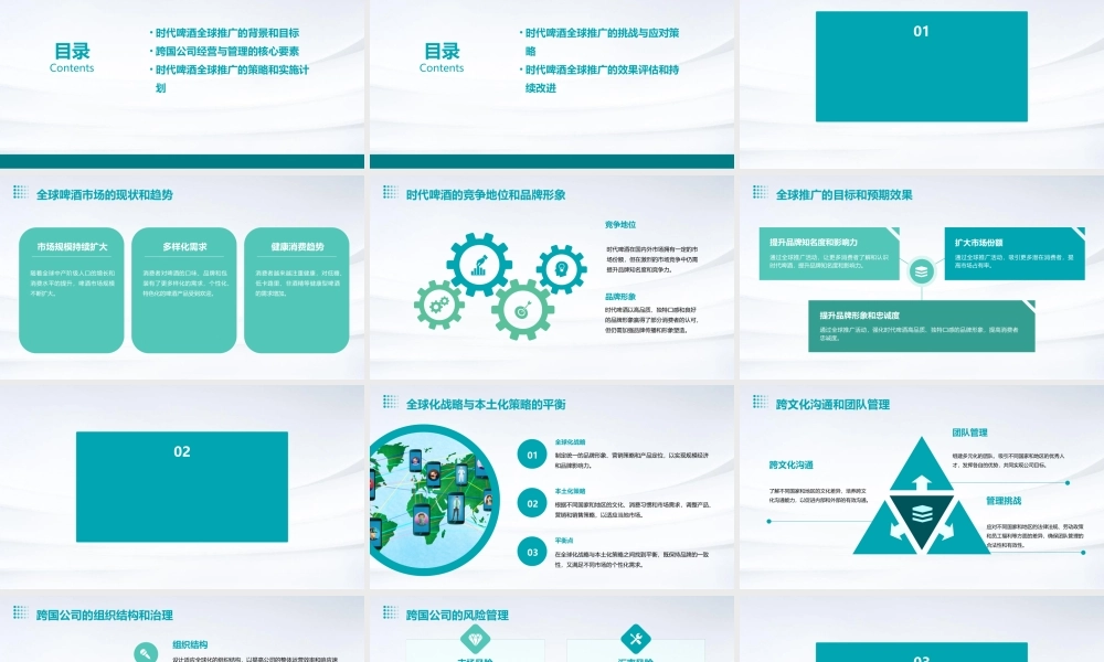 跨国公司经营与管理课程作业时代啤酒的全球推广课件