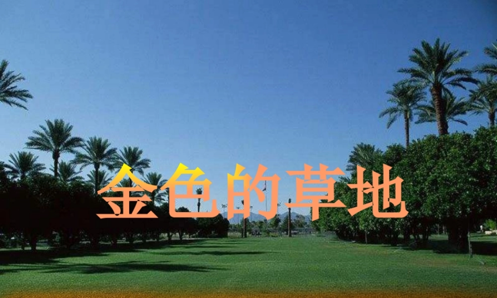 《金色的草地》(好)[1]