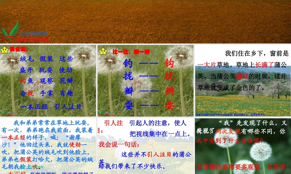 《金色的草地》(好)[1]