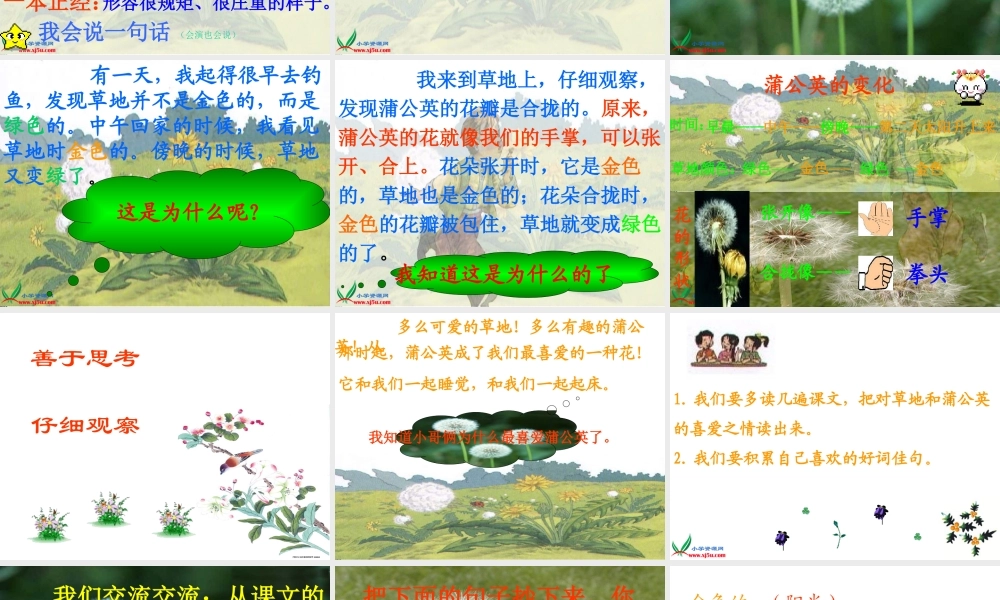 《金色的草地》(好)[1]