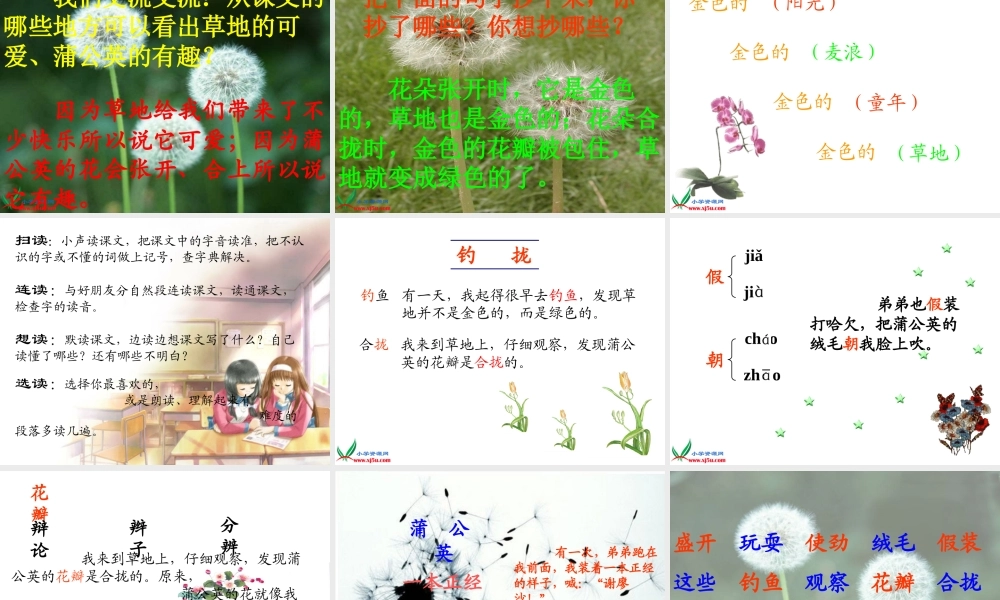 《金色的草地》(好)[1]