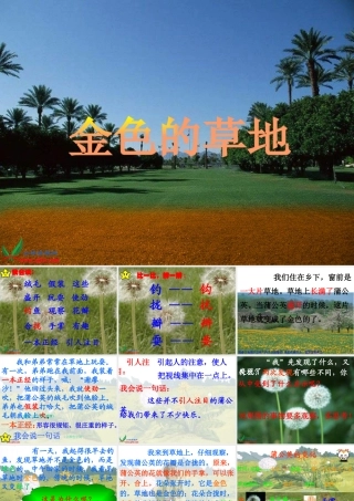 《金色的草地》(好)[1]