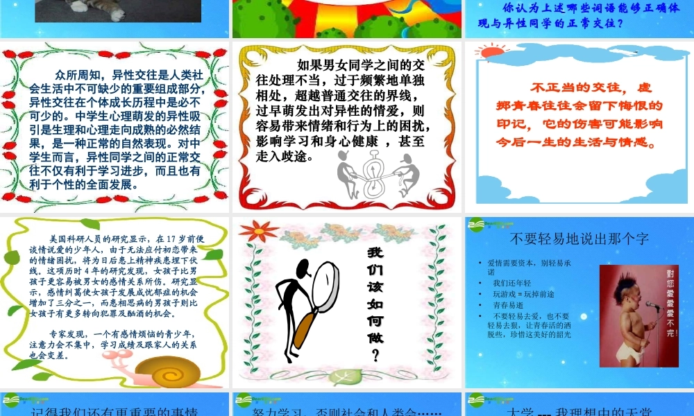 八年级政治上册 (正确处理男女同学的交往)课件 人教新课标版 课件