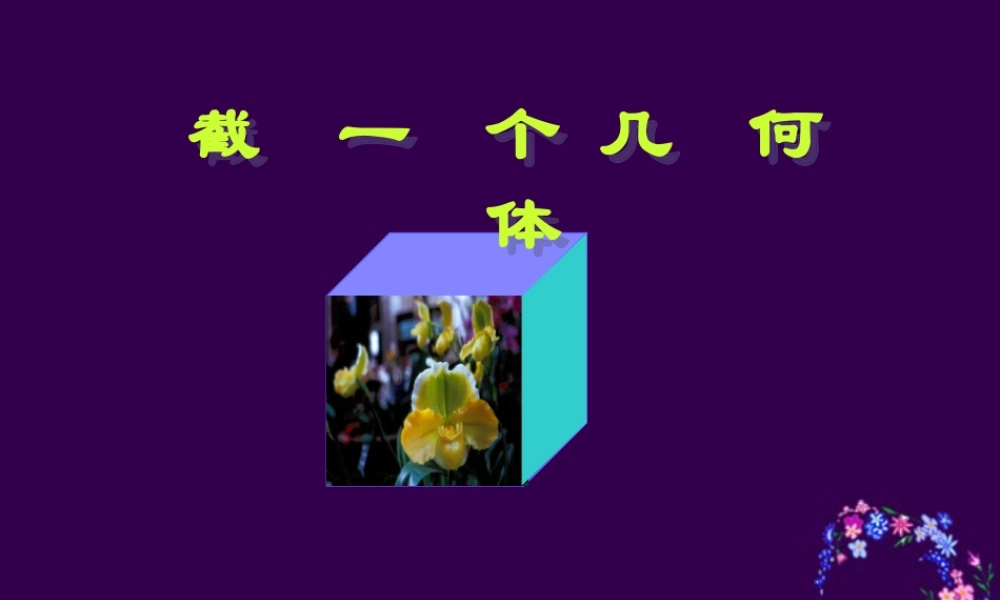 七年级数学截 一个几何体课件 北师大版 课件