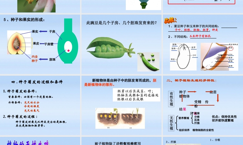 九年级科学 动植物的生殖和发育课件 浙教版 课件