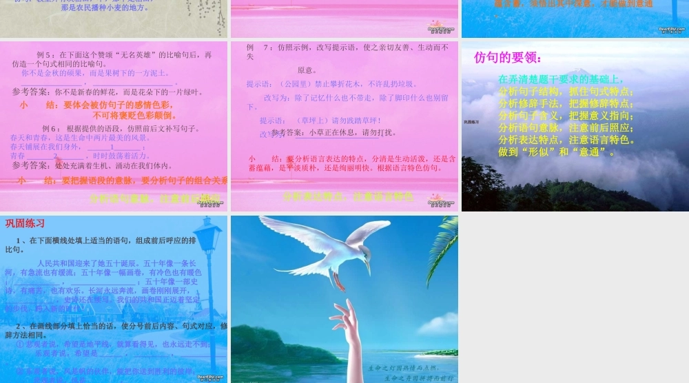 仿用句式专题课件 人教版 课件