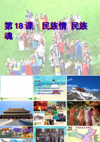 八年级政治下册 民族情，民族魂课件 苏教版 课件