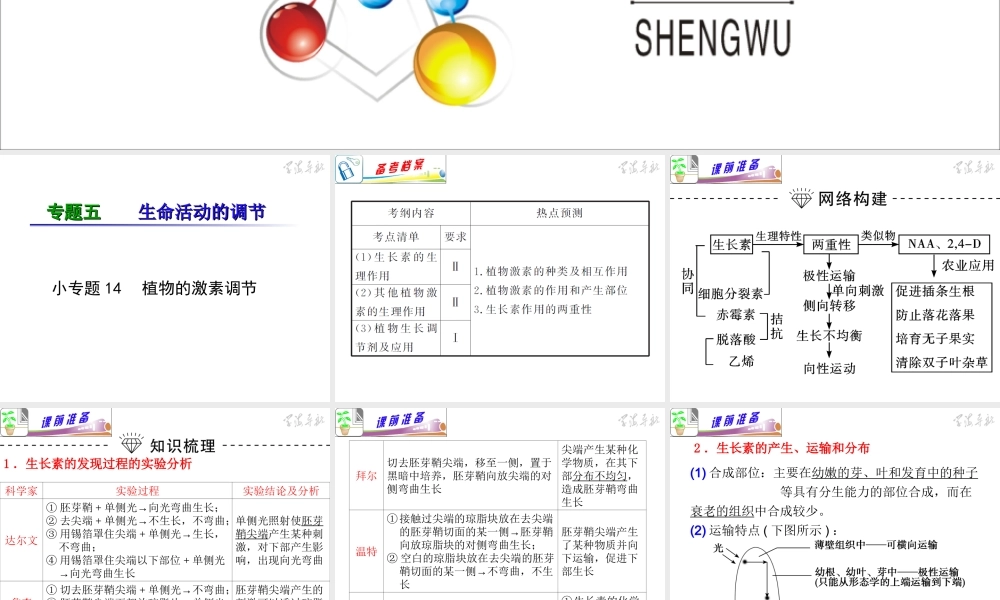 专题5小专题14植物的激素调节