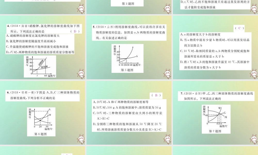 中考化学复习 滚动小专题(一)溶解度曲线及其应用课件