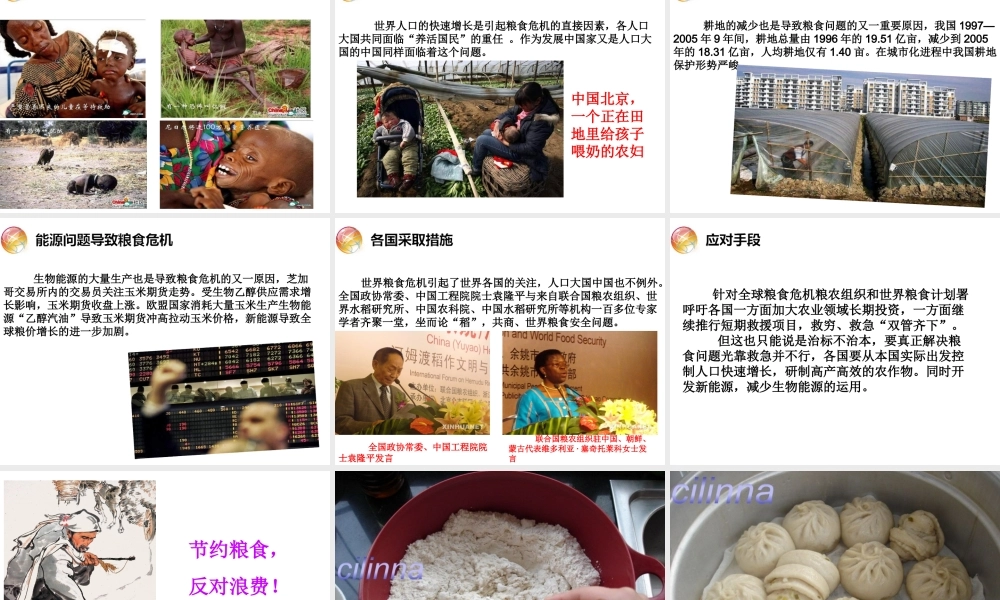 爱惜粮食_从我做起