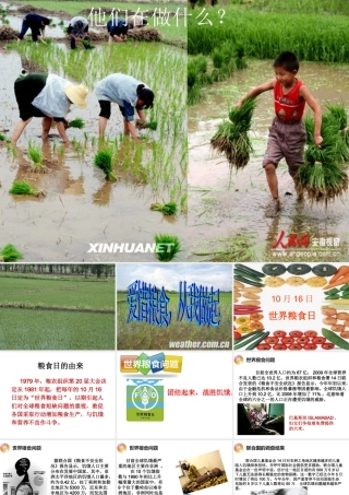 爱惜粮食_从我做起
