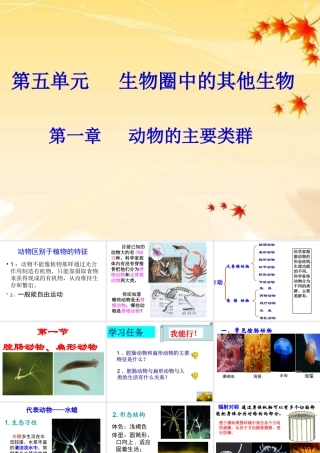 八年级生物上册《第一章_第一节_腔肠动物和扁形动物》课件