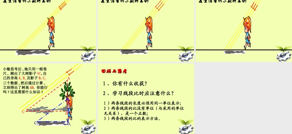 八年级数学下册 1.线段的比(第一课时)课件 北师大版 课件