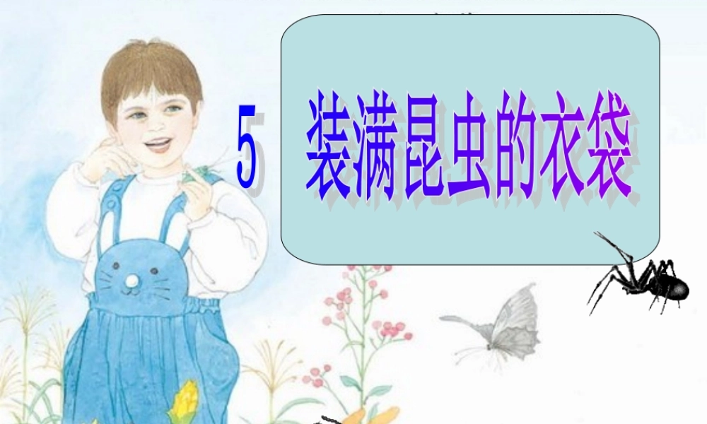 装满昆虫的衣袋课件