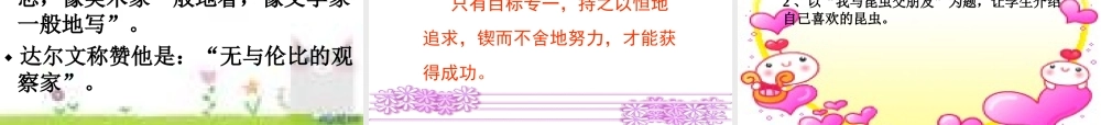 装满昆虫的衣袋课件