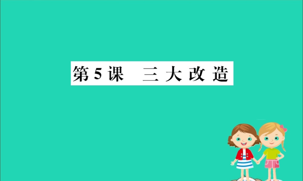 八年级历史下册 第二单元 社会主义制度的建立与社会主义建设的探索 2.5一课一练习题课件 (新版)新人教版 课件