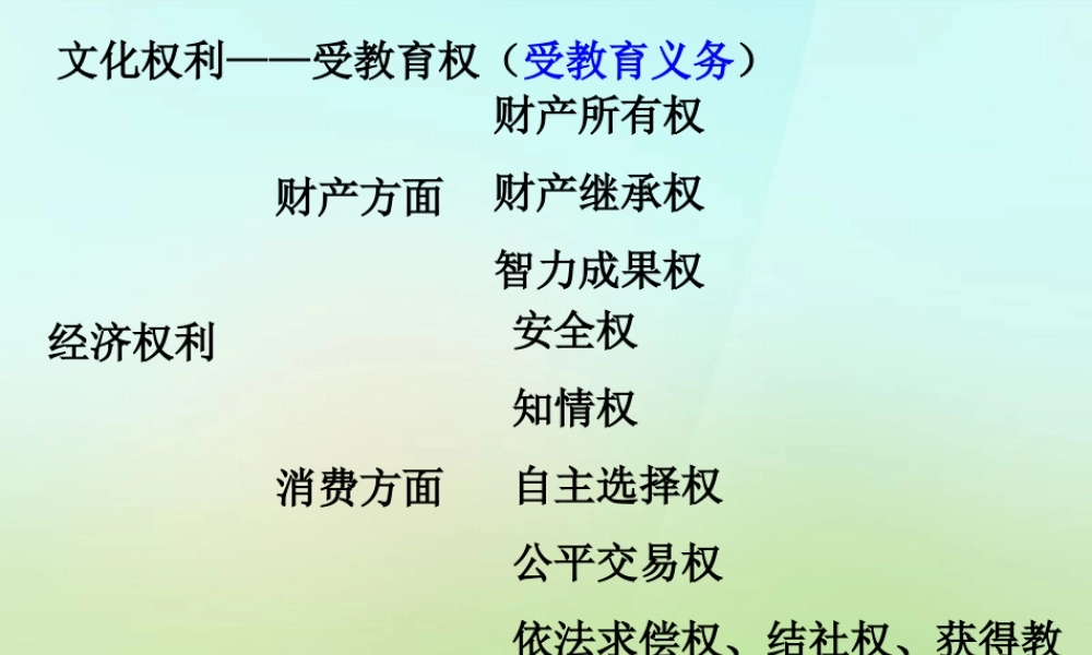 八年级政治下册 第三单元 我们的文化 经济权利课件 新人教版 课件