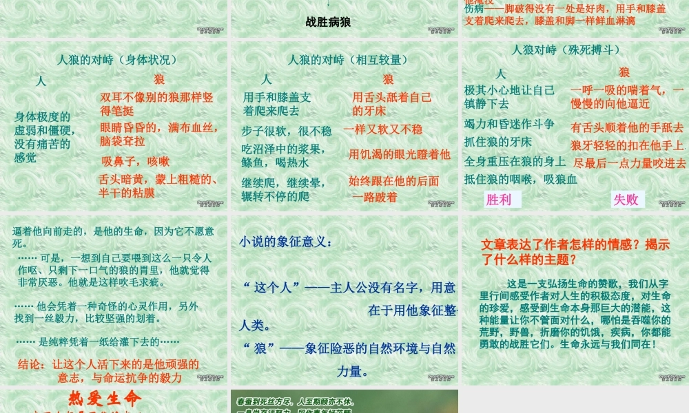 九年级语文下册第八课课件示例 人教版 课件