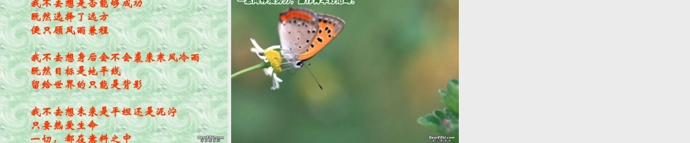 九年级语文下册第八课课件示例 人教版 课件