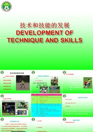 技术和技能的培养