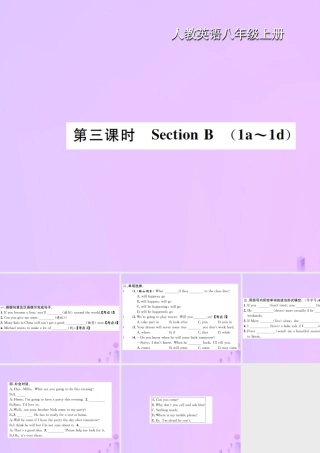 八年级英语上册 Unit 10 If you go to the party，you will have a great time(第3课时)Section B习题课件 (新版)人教新目标版 课件