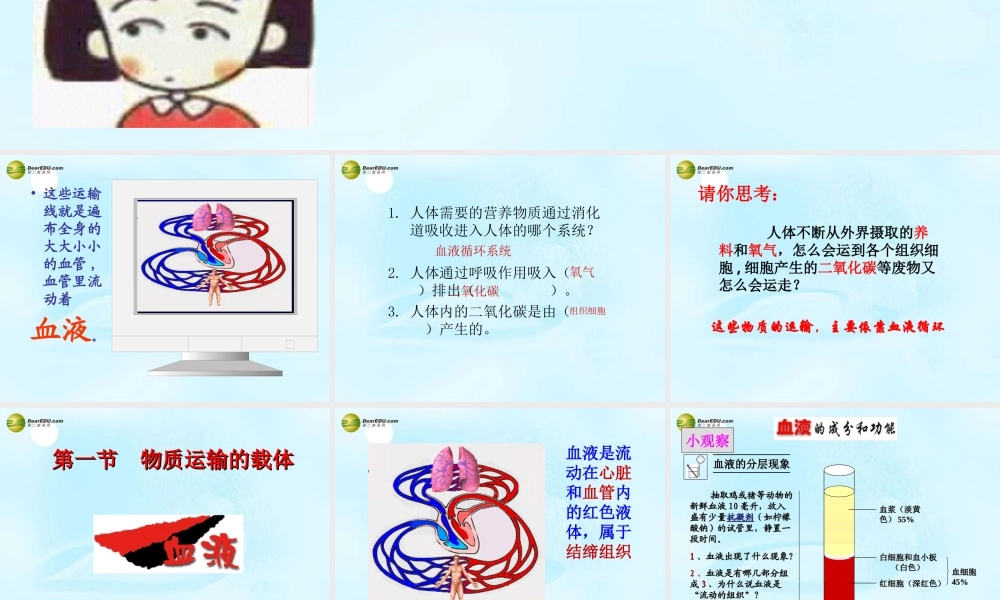 中学七年级生物下册 物质运输的载体课件 济南版 课件