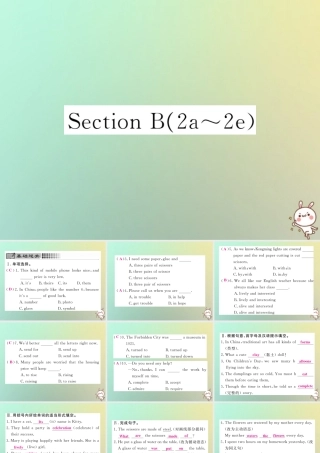 九年级英语全册 Unit 5 What are the shirts made of Section B(2a 2e)课时检测课件 (新版)人教新目标版 课件