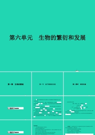 八年级生物下册 6.1.1 被子植物的生殖(第1课时)课件 (新版)冀教版 课件