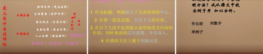 中学八年级语文上册 17 花儿为什么这样红课件 语文版 课件