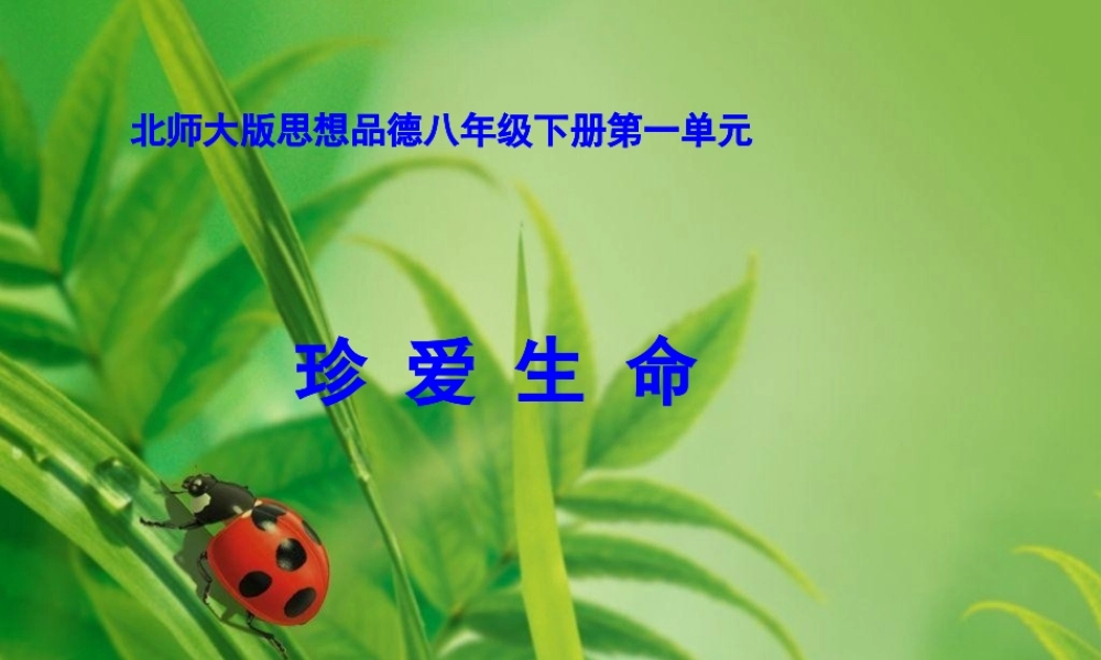 八年级政治下册 珍爱自己课件 北师大版 课件