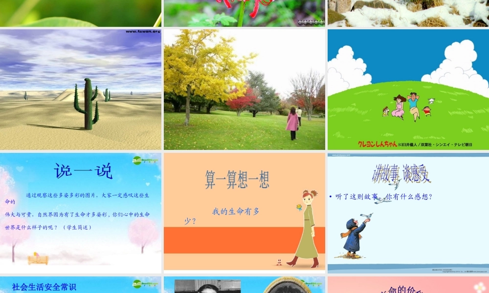 八年级政治下册 珍爱自己课件 北师大版 课件