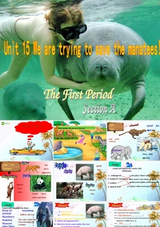 九年级英语 Unit15 period1SectionA课件 人教新目标版 课件