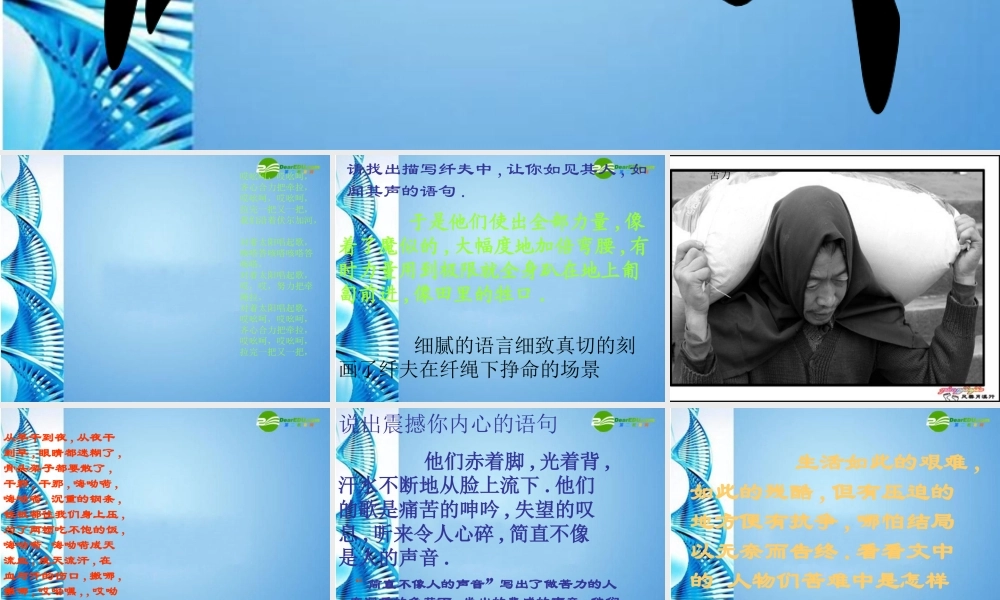 七年级语文下册(江之歌)课件 北师大版 课件