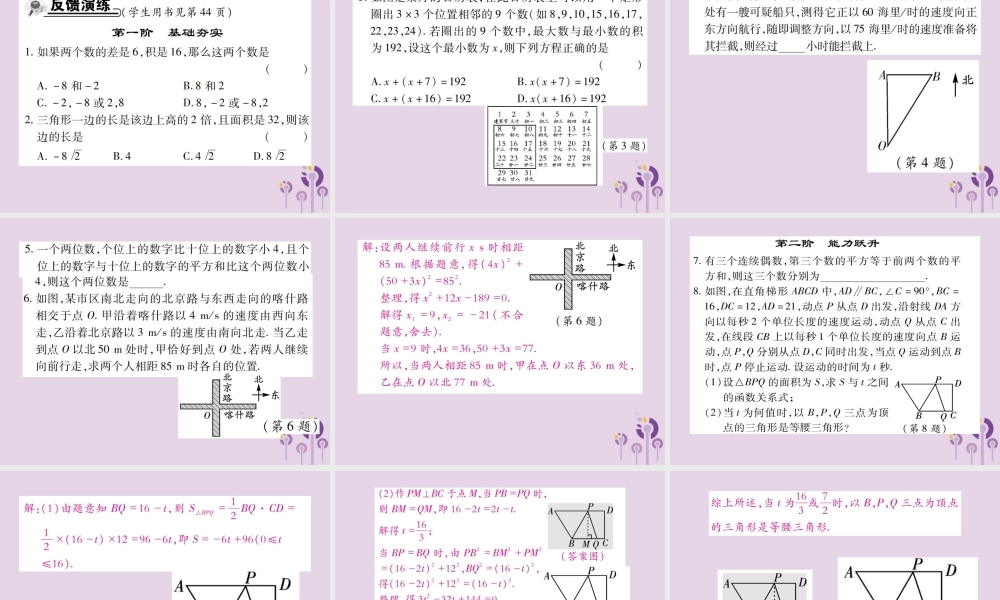 九年级数学上册 2(一元二次方程)6 应用一元二次方程 第1课时 一元二次方程在实际问题中的应用(1)习题课件 (新版)北师大版 课件