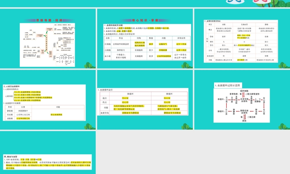 七年级生物下册 期末抢分必胜课 第一部分 主干知识速记 第四单元 第四章 人体内物质的运输课件(新版)新人教版 课件