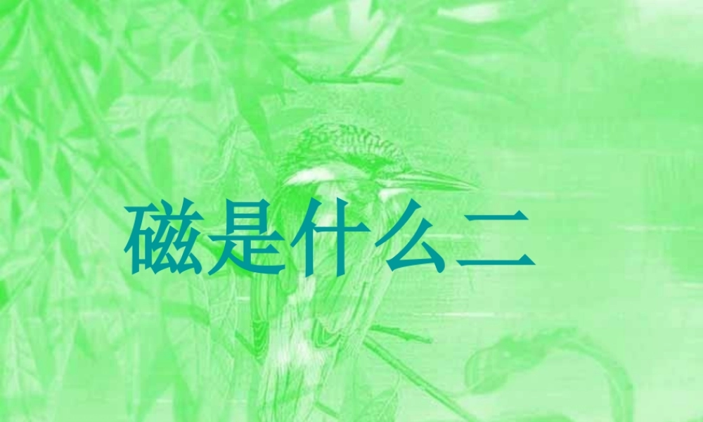 新课标 沪科版磁是什么二 课件