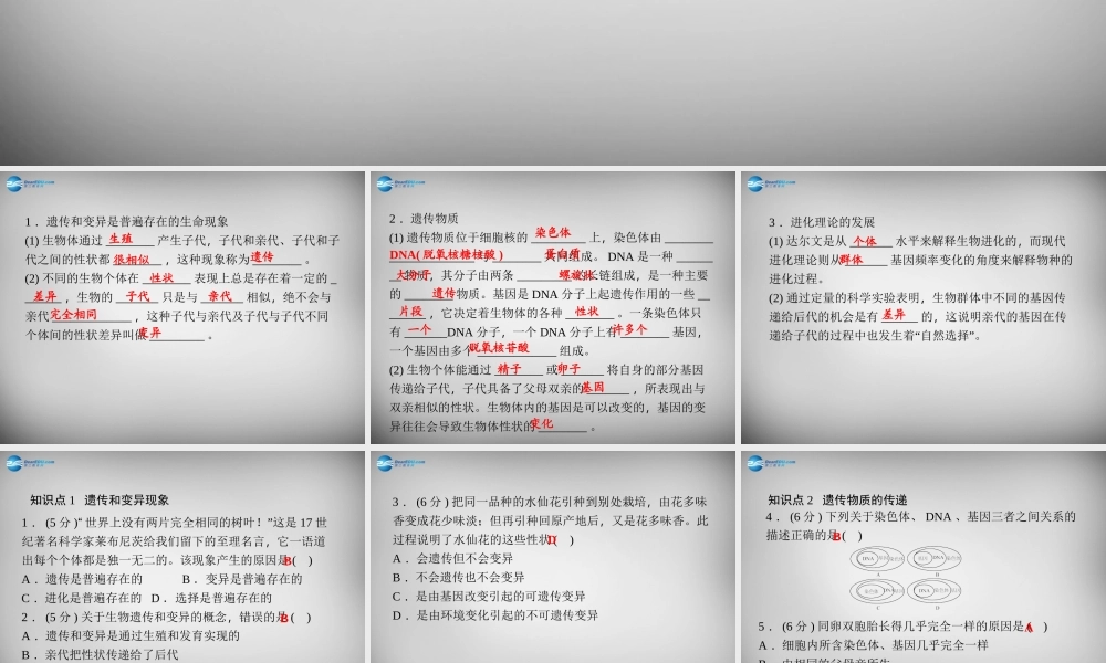 九年级科学下册 151 遗传、变异和进化理论的发展习题课件 浙教版 课件