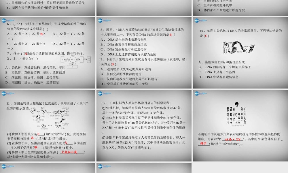 九年级科学下册 151 遗传、变异和进化理论的发展习题课件 浙教版 课件