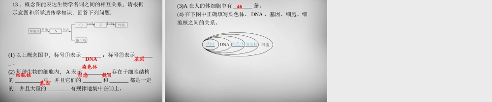 九年级科学下册 151 遗传、变异和进化理论的发展习题课件 浙教版 课件