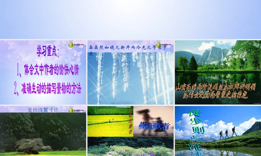 八年级语文下册 29(满井游记)课件 新人教版