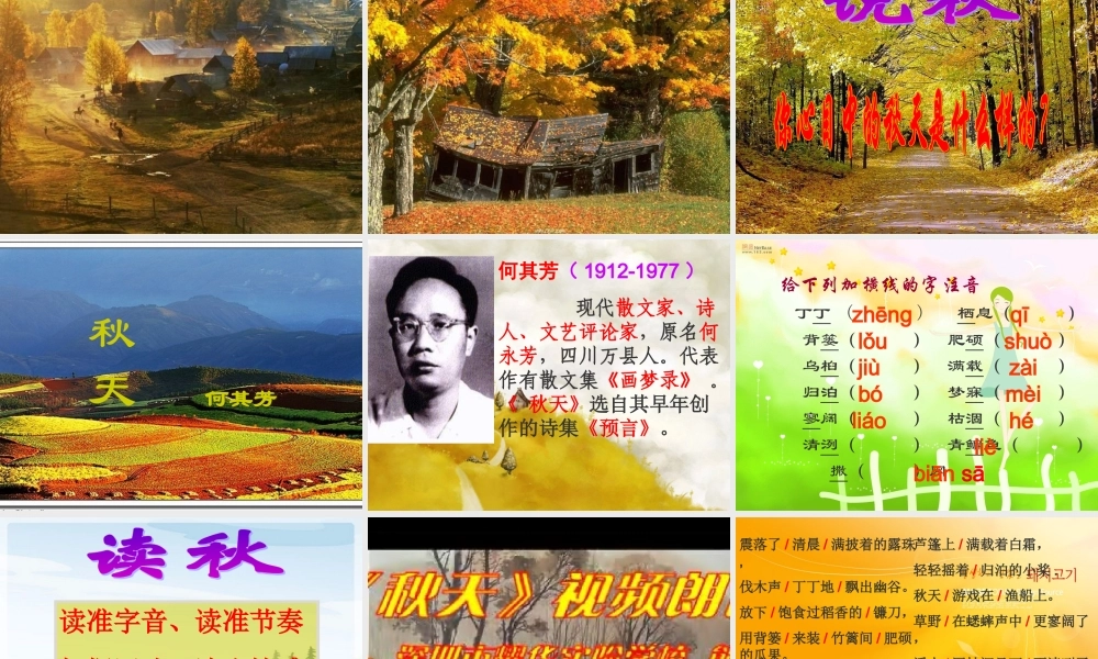 九年级语文下册(秋天)优秀实用课件 人教新课标版 课件