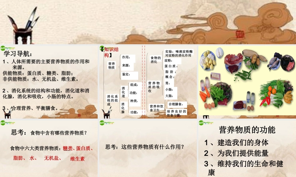 七年级生物上册 第3章人体的物质和能量来源食物课件 苏科版 课件