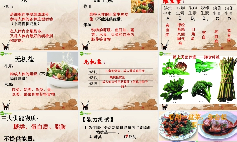 七年级生物上册 第3章人体的物质和能量来源食物课件 苏科版 课件