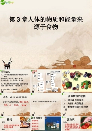 七年级生物上册 第3章人体的物质和能量来源食物课件 苏科版 课件