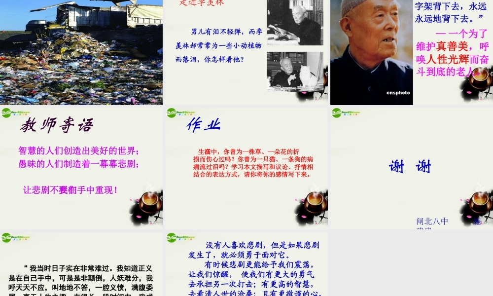 八年级语文上册 第五单元第23课：(幽径悲剧)课件 苏教版 课件