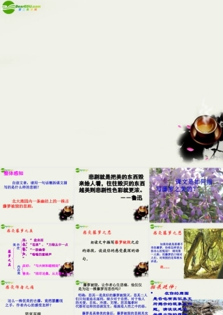 八年级语文上册 第五单元第23课：(幽径悲剧)课件 苏教版 课件