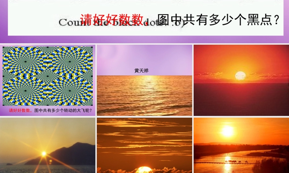 八年级语文上册 第4单元 日的幻觉课件 新人教版 课件