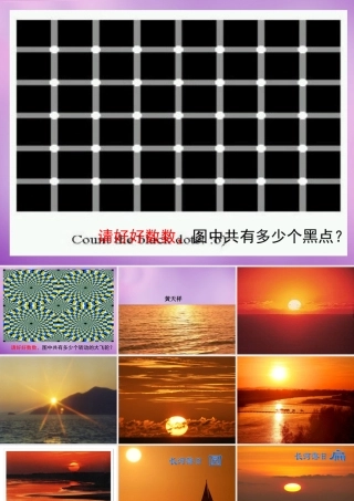 八年级语文上册 第4单元 日的幻觉课件 新人教版 课件